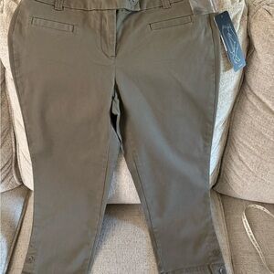 Dalia collection Olive Green Pants